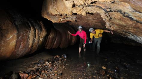 Der Gua Tempurung: Ein labyrinthisches Höhlensystem mit mystischen Stalagmiten und Stalagtiten!